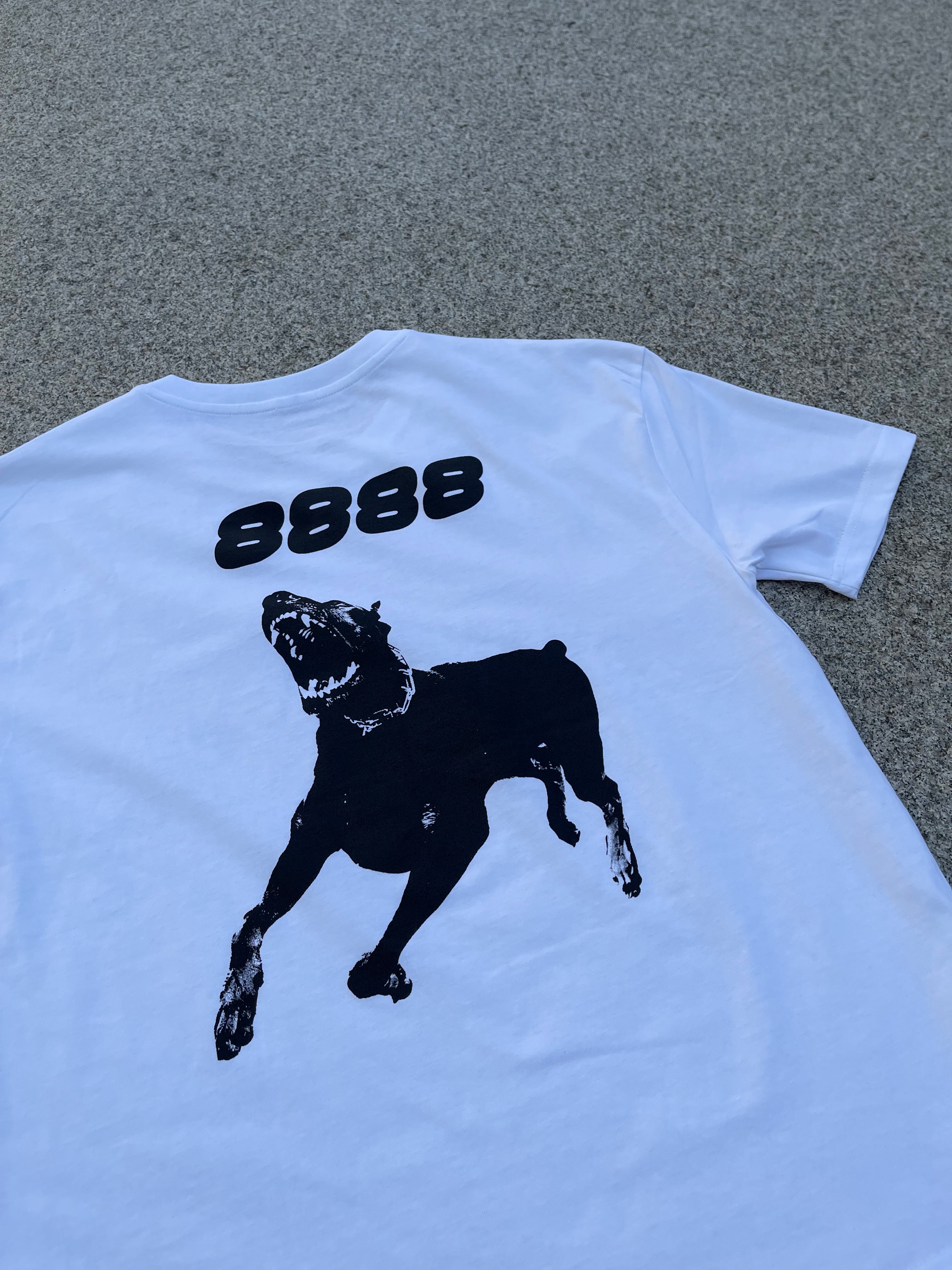 C8 8888